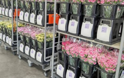 全国花き物流協が発足　物流9社 共同・中継輸送でPJ