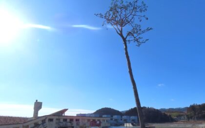 東日本大震災15年、物流の重要性を再確認　後世に教訓語り継ぐ